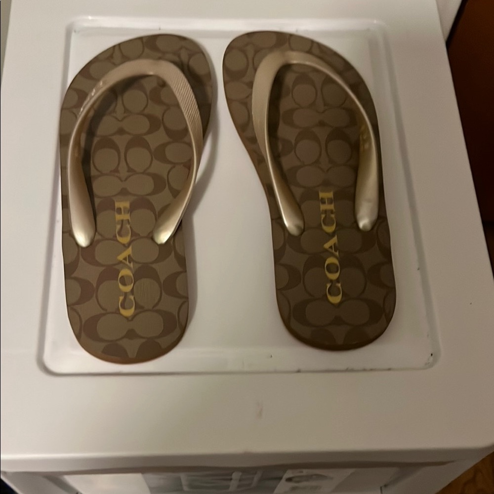 Coach Brown and Gold Signature Sandals